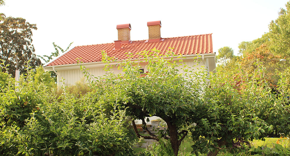 Ett ljust hus med rött tegeltak sett bakom tät grönska och träd i en lummig trädgård.